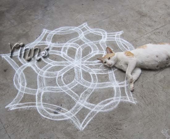 Kuzhal Kolam Collection