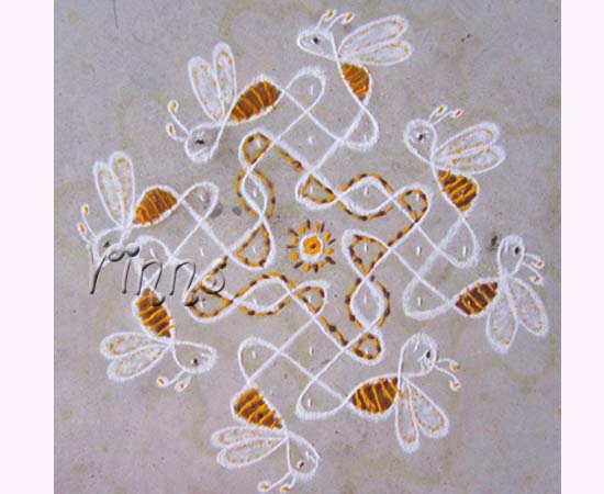 9 Pulli sikku kolam