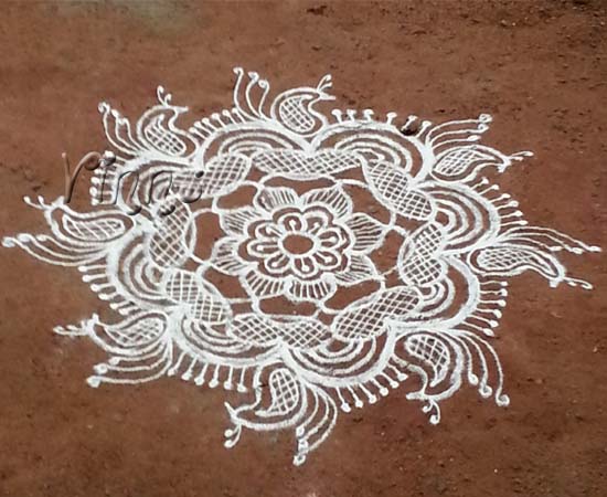 Mango design kolam Paisley
