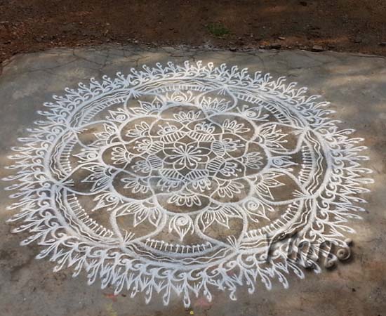 muggulu rangavallika rangavalli dotless kolam