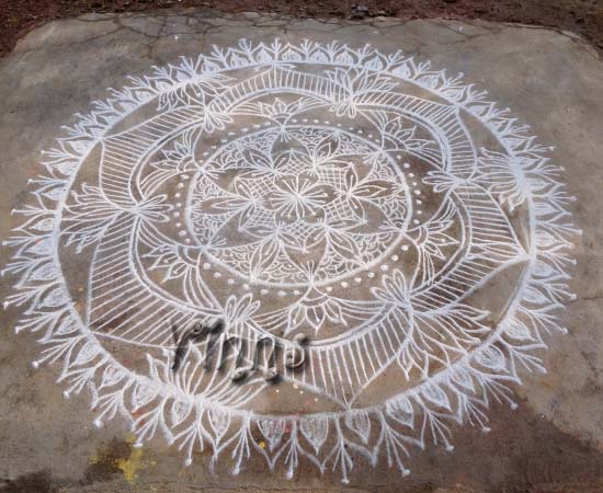 Muggulu Dotless kolam big rangoli