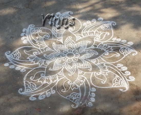 Mango desing muggulu dotless kolam