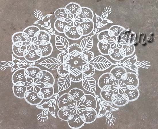Muggulu, Big, Rangavalli, Rangoli, Evening, Small