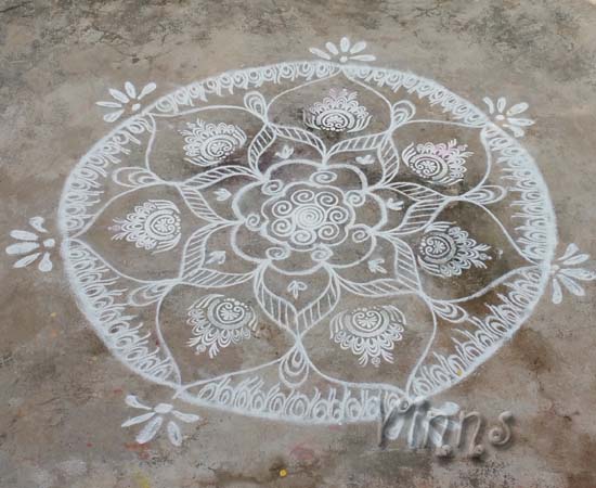 muggulu, dotless kolam, daily kolam, rangavalli