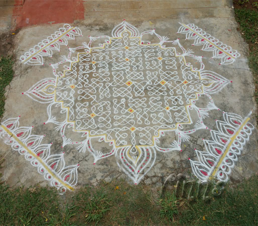 tippudu muggulu, rangoli, rangavallika