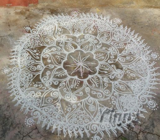 White Rangoli muggulu, big kolam, round, rangavalli