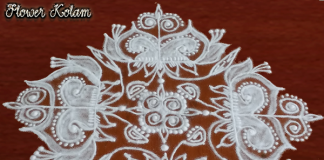 lotus, kamal, kamala padam, muggulu