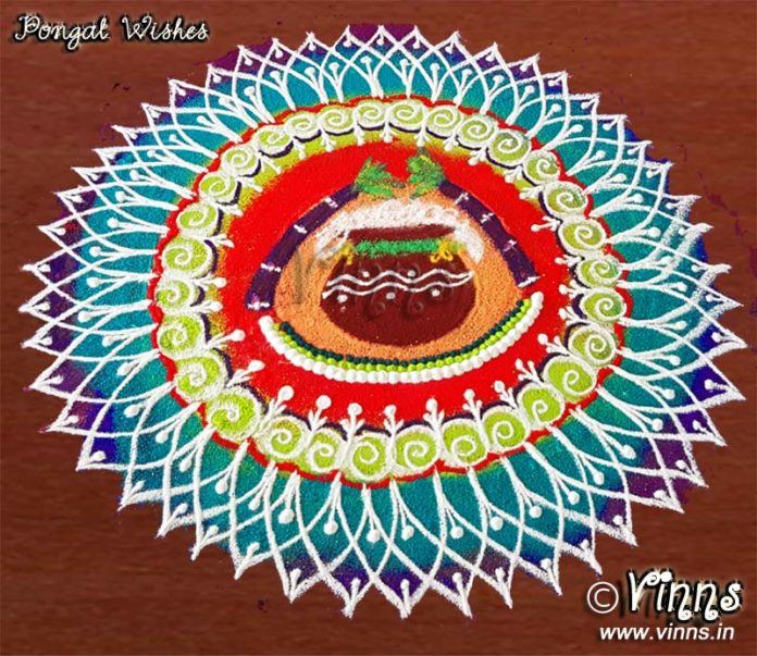 makara sankranthi, pongal pot kolam