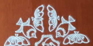 margazhi kolam, 19 dots, big kolam, daily kolam, sikku kolam, chikku kolam, kambi kolam, neli kolam