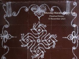 11-1 Pinwheel Kolam || காற்றாடி கோலம் || margazhi kolam, simple kolam, daily kolam